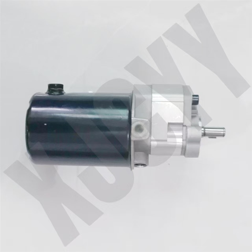 Hydraulic Gear Pump 3774649M91,1666726M94 ,1666726M93 Used For Massey Ferguson Models Serie:65,168,175,175S,178,185,188,200,265,275,285,290,565,575,590,675,690 factory