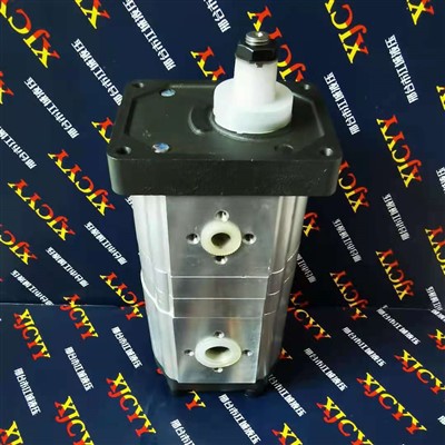 Hydraulic Gear Pump 3530246M91 Used For Landini Tractor