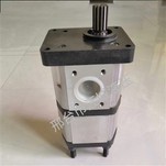 Hydraulisk växelpump 4212880 4212879 används för Landini-traktor